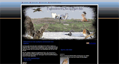 Desktop Screenshot of mofugler.net